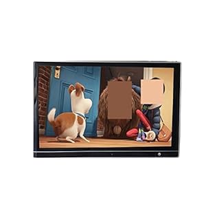 LNHHG 12.5' 4K Kopfstützenmonitor