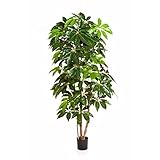  Artificielles.com - Schefflera Artificiel H 220 cm 420 Feuilles en Pot Superbe et Rare - dimhaut: H 220 cm - Couleur: Vert