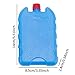 Menolana 6 Pieces Ice Cooler Blocks Ice Brick Packs for Cool Bag Lightweight Freezer Blocks for Picnics Beach Family Outdoors Camping