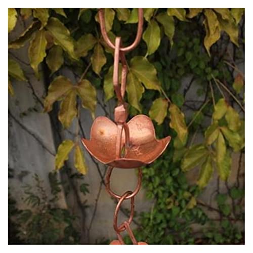 JA ỉJ`F[aKCh̗̎@Ba̋@\ƑIȎւ͍aъς IȐElZAGKg(D)