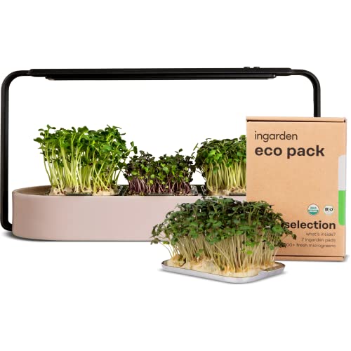Kit de culture Superfood Microgreens