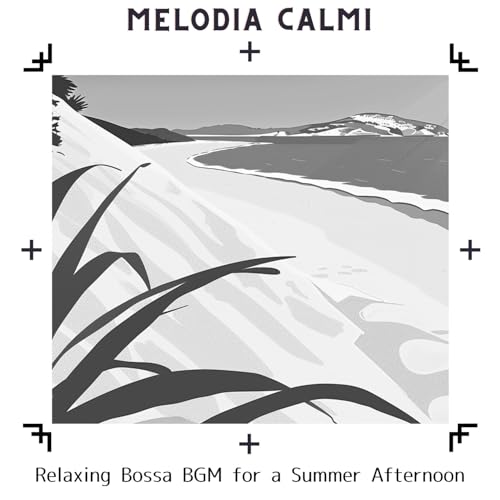 Seashell Chimes Echo