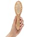 Small, Travel Hair Brush - Wooden Bristle Detangler Hairbrush For Detangling Women, Men & Kids Wet or Dry Hair - Natural Wood Handle & Bristles - Portable Size and Fits in Pocket or Purse