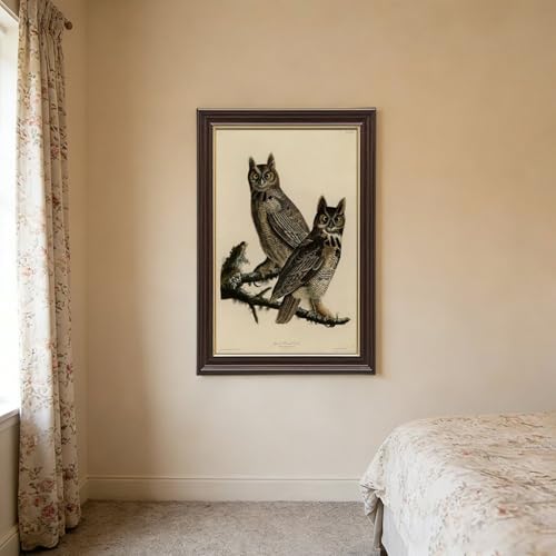 Toile hibou à cornes d'Amérique Audubon impression d'art premium - 3