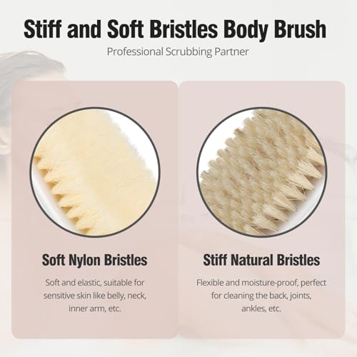 2 Pack Natural Bristle Dry Brush