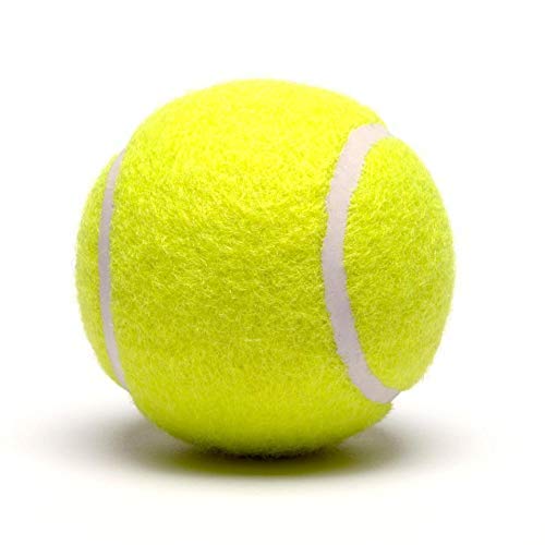 Green Tennis Ball Light Weight (Pack of 12) (B08PCC1S59) Amazon Price History, Amazon Price Tracker