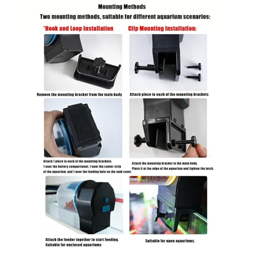 Mangeoire automatique pour aquarium et tortue Betta à double compartiment - 6