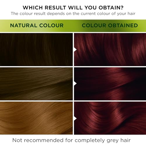Garnier Nutrisse 2.6 Dark Cherry Red Permanent Hair Dye 1 Kit - Image 3