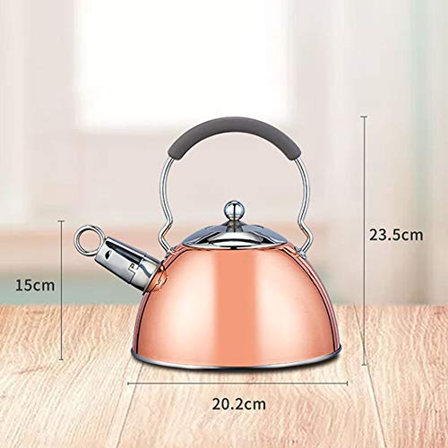 Bouilloire induction en acier inoxydable à chauffage rapide et uniforme