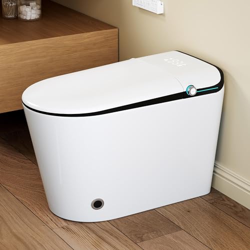 Smart Toilet with Bidet Built in, Eridanus One Piece Bidet