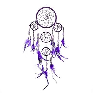 Pink Pineapple Petit Attrape Rêve Violet Marque Dreamcatcher Indien à Perles Argent & à Plumes Fait Main – Capteur de Rêves et Artisanal – 12 cm de Diamètre, 35 cm de Longueur