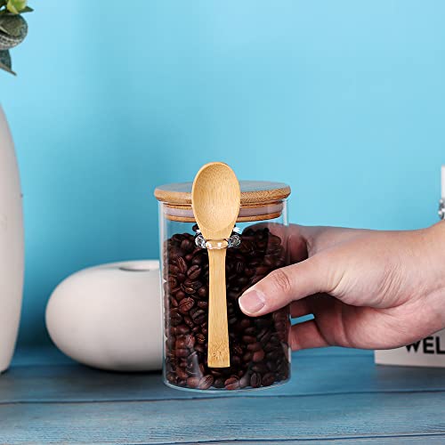 Leaves And Trees Y Glass Jars With Bamboo Lids And Spoon, 17 Oz Set Of 3 Small Glass Sugar Container With Wooden Lids And Scoop, Coffee Tea Jars For Loose Tea, Coffee Bar Containers #TOP4