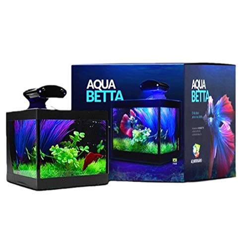 Aquário Betteira com Iluminação LED Bivolt e Decoração Aquabetta ...