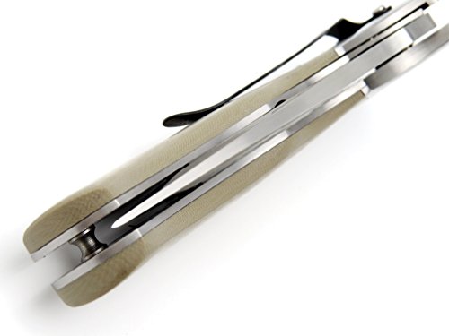 Ccanku C0555 Folding Knife, D2 Steel Blade G10 Handle Edc Knife For Outdoor,Hunting,Camping,Surviva-Gray … … … … #TOP5