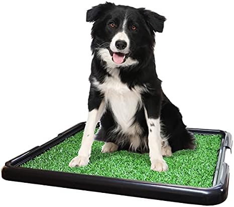 Sanitario canino, Sanitario para cachorro, Tapete Sanitario