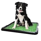 Sanitario canino, Sanitario para cachorro, Tapete Sanitario