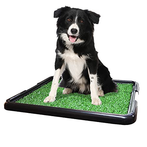 Sanitario canino, Sanitario para cachorro, Tapete Sanitario