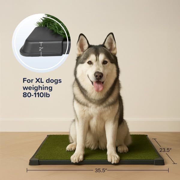 dog grass pad with tray - 35.5x23.5in reusable pee pads for dogs - 4-layer indoor/outdoor artificial grass pee pad - dog housebreaking supplies for puppy training by petmaker xl 4-layer system