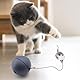 DAWRIS Interaktives Katzenball Spielzeug, Katzen Ball Elektrisch Katzenspielzeug Katze Katzenball Chewie Rolling Ball, Interaktives Hunde