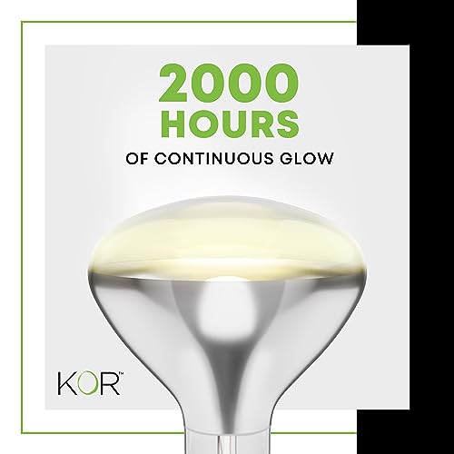 Kor K22546 250R40/1 250-Watt, Incandescent R40 Reflector, Clear Head Lamp, Heat Flood Lamp Light Bulb thumb #3