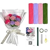 パイプクリーナークラフト、カーネーションブーケパイプクリーナーフラワーキット、初心者向けビデオチュートリアル付き、DIYふわふわシェニールステムバルクサプライ、リンピアピパハンドメイドフローラルギフトホームデコール