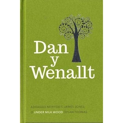 Dan y Wenallt
