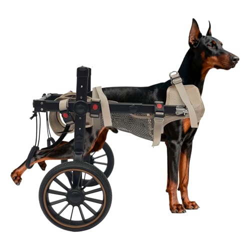 Sedia a rotelle regolabile per gambe posteriori, robusto carrello in alluminio, per la mobilità e la riabilitazione per cani di taglia grande/media fino a 65 kg, ruote fuoristrada