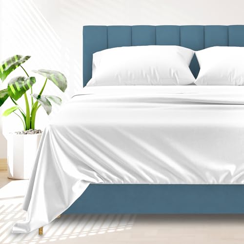 Ashton Sheets 1500 Series Egyptian Cotton