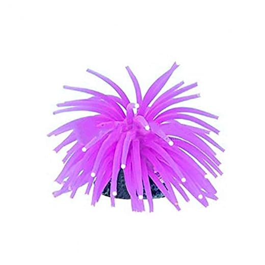 MAXXI ANEMONA YS-1106V ROXA 7CM