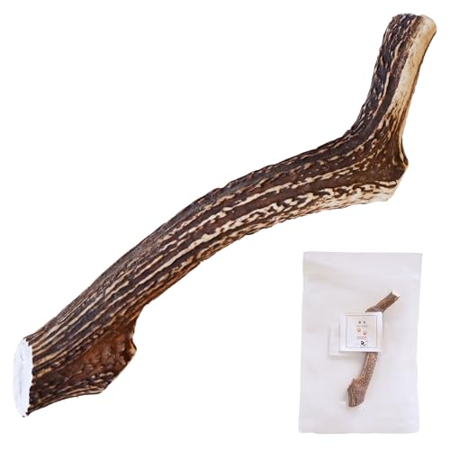 【獣医師監修】 いぬのくらし 鹿角 犬 おもちゃ 小型犬用 天然 無添加 デンタルケア 歯石 ケア 鹿つの (M)