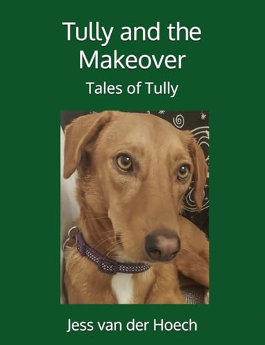 Tully and the Makeover (Tales of Tully)