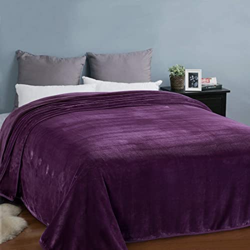Easeland Soft Blanket Twin Size Blanket All Season Warm Fuzzy Microplush Lightweight Thermal Fleece Blankets For Couch Bed Sofa,66X90 Inches,Purple #TOP6