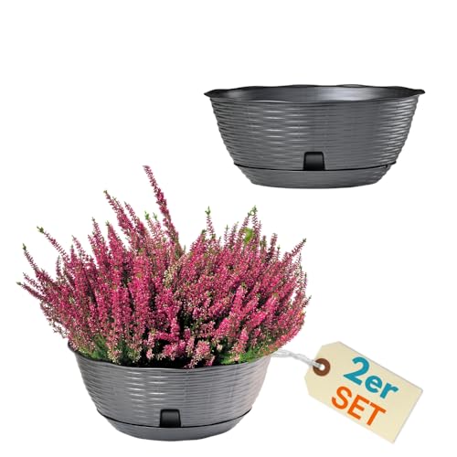 GarPet 2er Set Pflanzschale Blumenschale Pflanzschalen für draussen Bonsai Topf Pflanzschale Rund inkl. Untersetzer Grabschale Anthrazit 30 cm