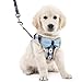 Hundegeschirr Weste Katzengeschirr Air Mesh Hundeweste Harness Weich Komfortable Verstellbar Sicher Kontrolle Welpengeschirr Hunde Laufgeschirre für kleine mittelgroße Hunde und Katzen
