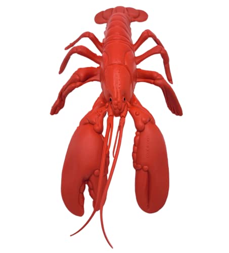 Image of Realistic Red Lobster (12 inch) Plastic Prop Toy Party Decoration Fish Net Sea Ocean (6)
