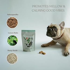 Balance + calm organic treats for dogs wheat free dog treats clean ingredients baked in the usa calming cookies all natural peanut butter bones 2 pack   cucciolini doodles