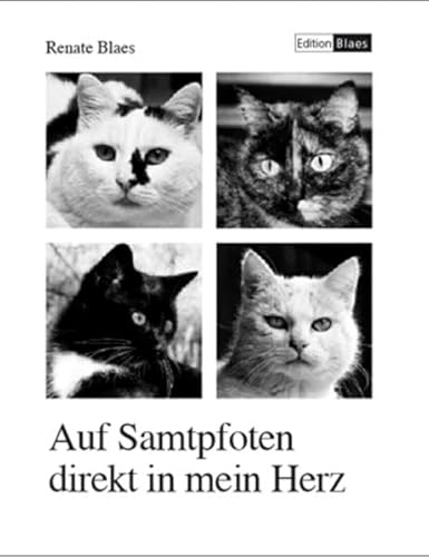 Produkt Bild Nr. 7