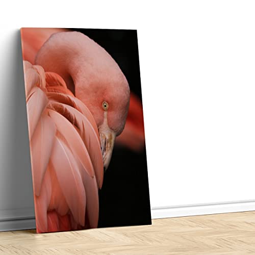Portrait flamant rose impression haute définition 40x60 - 4