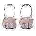 Wnvivi 2 Pcs Iron Flower Girl Baskets,4.3 Inch Bowknot Wedding Flower Baskets with Lining,Candy Petal Flower Basket Organizer for Party Holiday Decor(Style-2)