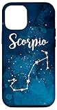 iPhone 12/12 Pro Scorpio Zodiac Constellation Horoscope Astrology Sun Sign Case