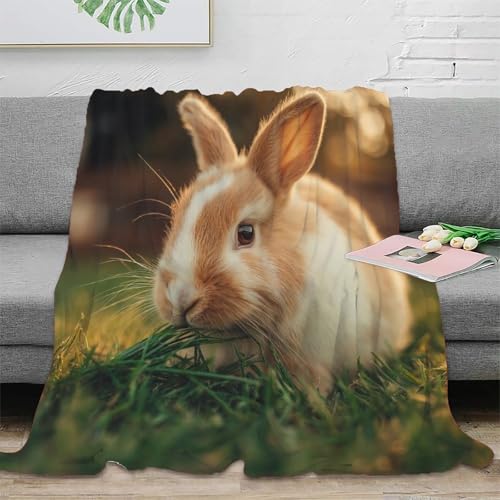 HWEICOIN Conejo Manta con Estampado 3D Súper Suave Y Cálida para Niños Adolescentes Adultos Acogedora Colcha para Sofá Cama 40x50inch(100x130cm)