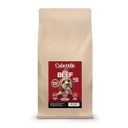 Caboodle Dog Food, Grain Free Complete Adult Dry Dog Food, For Fussy Eaters, Superfood Crunch Dry Dog Food For Adult Dogs (6Kg, Beef)