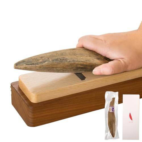 ̖{͖ 1{ + ߍ 䉮 EHibg ̉F JljjV