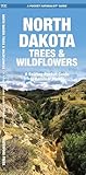North Dakota Trees & Wildflowers: A Folding Pocket Guide to Familiar Species (Pocket Naturalist Guide Series)