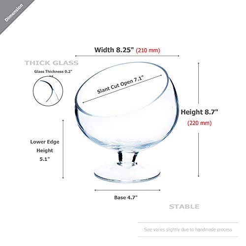 WGV Slant Cut Bowl Glass Vase with Stand, Width 8.25", Height 8.75", Clear Planter Terrarium, Candy Dish, Fruit Jar for Wedding Party Event, Home Office Decor, 1 Piece - Thumbnail 2