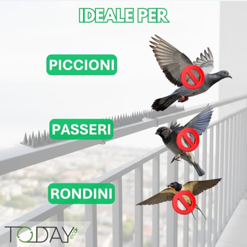 Todayeco - Dissuasore Antipiccione In Plastica 1,2M | Spuntoni “No Harm” Per Piccioni, Che Creano Disagio (Non Feriscono) | Per Balconi, Davanzali E Pensiline | Sicuro, Resistente, Adattabile - 2