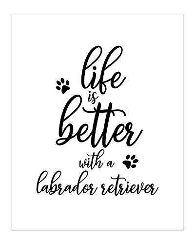 Summit Designs Labrador Retriever Wall Art Décor Prints – Set Of 4 (8X10) Unframed Poster Photos – Dog Puppy Quotes #TOP3