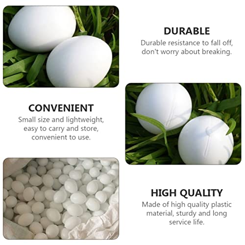 Balacoo 60 Pcs Plastic Stop Induced Bird White Quaker Diy Simulated Dummy Racing Play Food Mm For Incubation Decorative To Geese Small Eggs Simulation Birds Water Mm* Supplies Cockatiel #TOP2