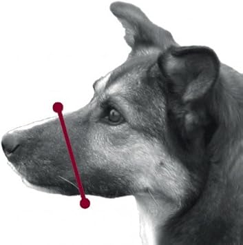 Trixie Dog Mouthpiece 12cm XXS Black