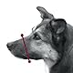 TRIXIE Maulschlaufe für Hunde - 12 cm Korbumfang - 4,3 cm Korblänge - z.B. für Tierarztbesuche oder Bahnfahrten - stufenlos verstellbarer Genickriemen - Schnappverschluss - 1920